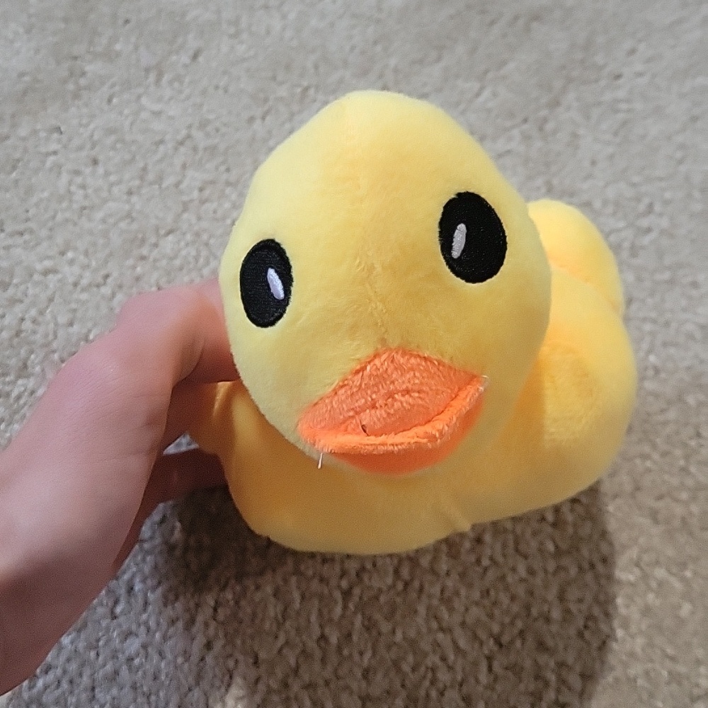 FREE W ANY PURCHASE! Yellow Plush Duck Toy